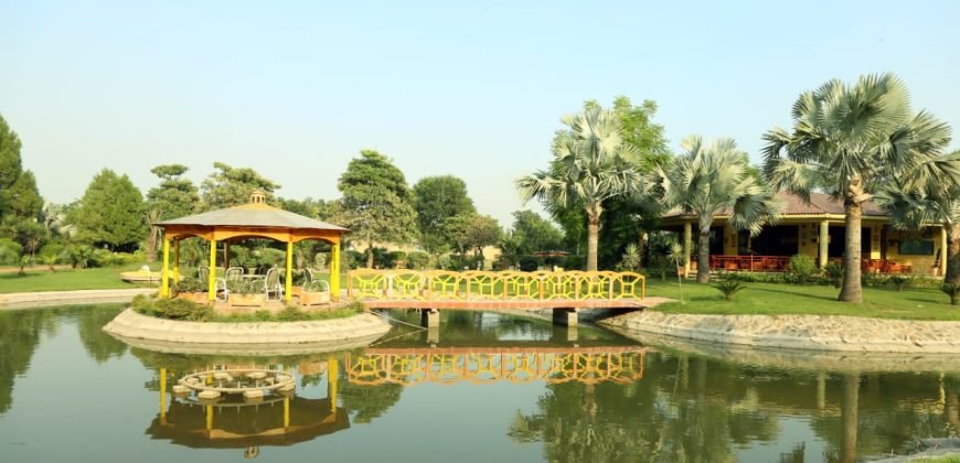 BEDIAN ROAD FARMHOUSE 09