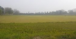 BEDIAN ROAD FARMHOUASE 61