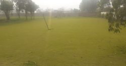 BEDIAN ROAD FARMHOUASE 61