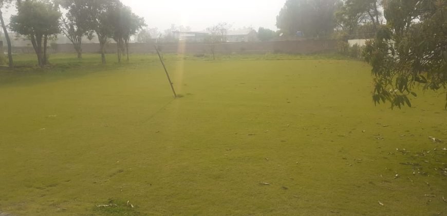 BEDIAN ROAD FARMHOUASE 61