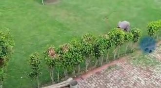 BHAINI ROAD FARMHOUSE 212