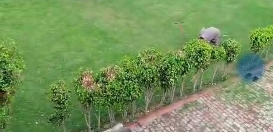 BHAINI ROAD FARMHOUSE 212