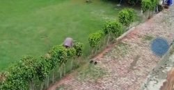 BHAINI ROAD FARMHOUSE 212