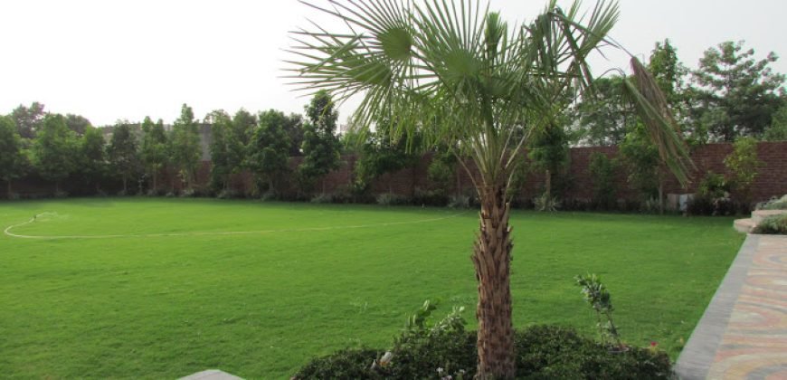 RAIWIND ROAD FARMHOUSE 223