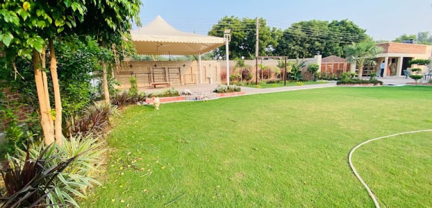 RAIWIND ROAD FARMHOUSE 223