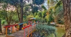 KASUR ROAD FARMHOUSE 106