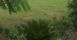 EDEN PARK FARMHOSUE 63