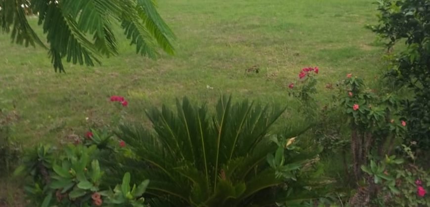 EDEN PARK FARMHOSUE 63