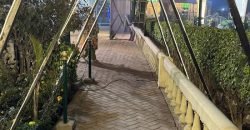 SIALKOT FARMHOUSE   238