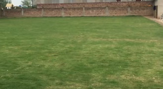 BARKI ROAD FARMHOUSE 56