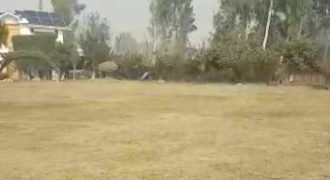 BEDIAN ROAD FARMHOUSE 64