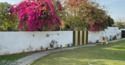 RAIWIND ROAD FARMHOUSE 198