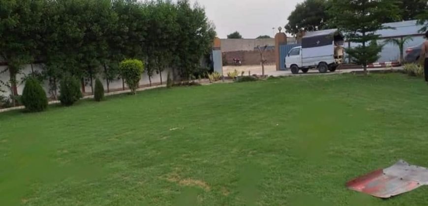 JOHAR TOWN  FARMHOUSE 102