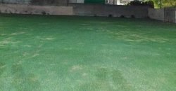 JOHAR TOWN  FARMHOUSE 102