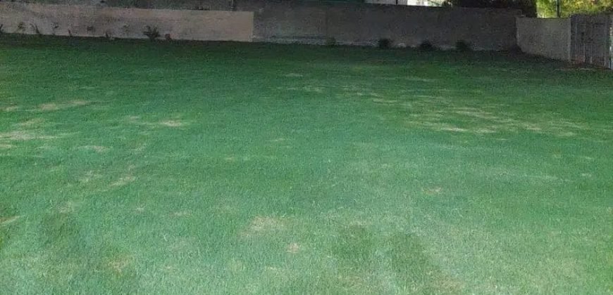 JOHAR TOWN  FARMHOUSE 102