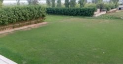 JOHAR TOWN  FARMHOUSE 102