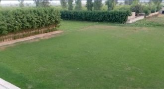 JOHAR TOWN  FARMHOUSE 102