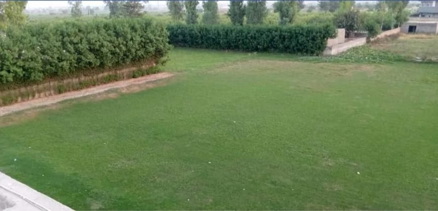 JOHAR TOWN  FARMHOUSE 102