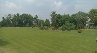 CANAL ROAD FARMHOUSE 133