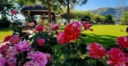 HARIPUR FARMHOUSE 127