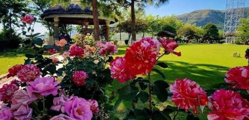 HARIPUR FARMHOUSE 127