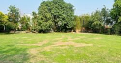 WAPDA TOWN FARMHOUSE 268