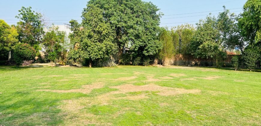 WAPDA TOWN FARMHOUSE 268