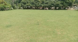 BEDIAN ROAD FARMHOUSE  222