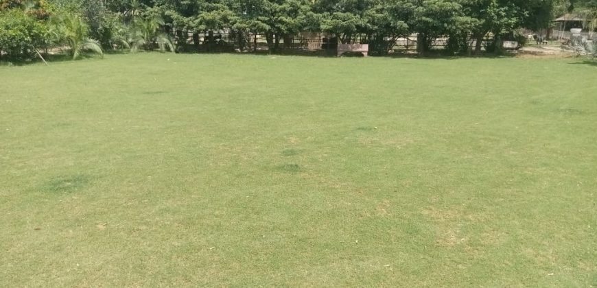 BEDIAN ROAD FARMHOUSE  222