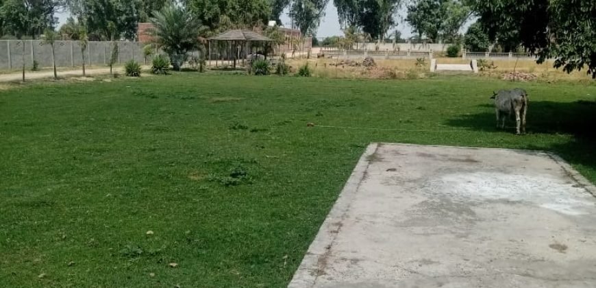 BEDIAN ROAD FARMHOUSE  222