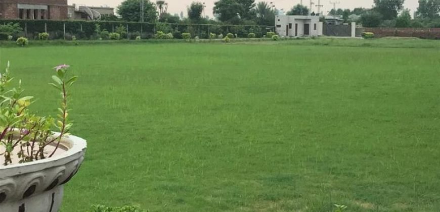 BARKI ROAD FARMHOUSE 199