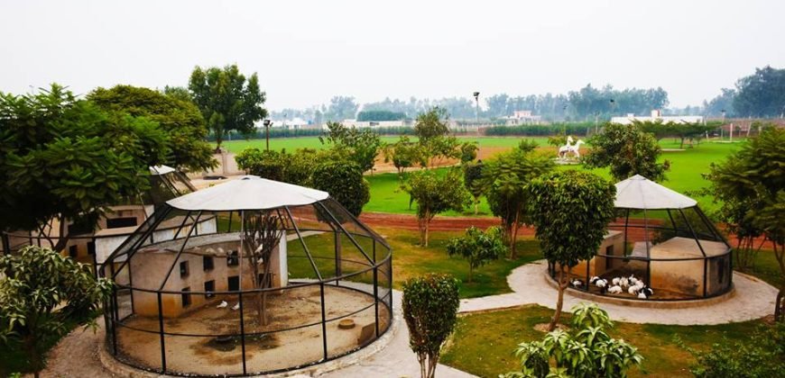 BARKI ROAD FARMHOUSE 124