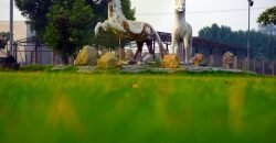 BARKI ROAD FARMHOUSE 124