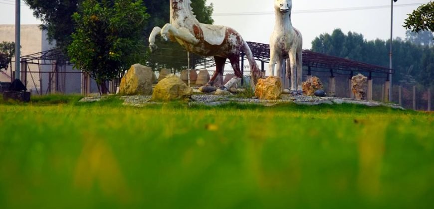 BARKI ROAD FARMHOUSE 124