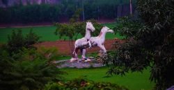 BARKI ROAD FARMHOUSE 230