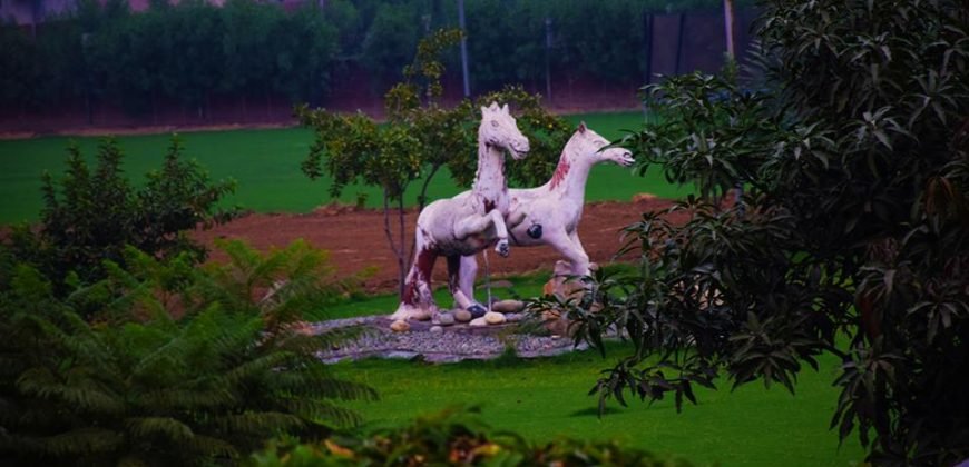 BARKI ROAD FARMHOUSE 230