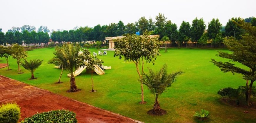 BARKI ROAD FARMHOUSE 124