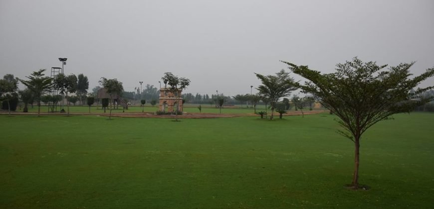 BARKI ROAD FARMHOUSE 230