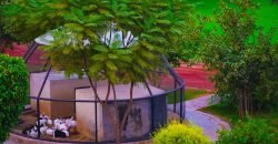 BARKI ROAD FARMHOUSE 124