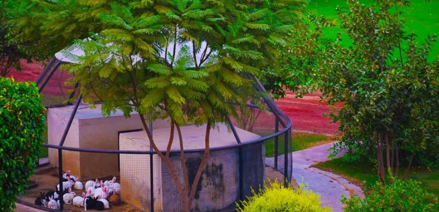 BARKI ROAD FARMHOUSE 124