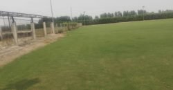 BARKI ROAD FARMHOUSE 230