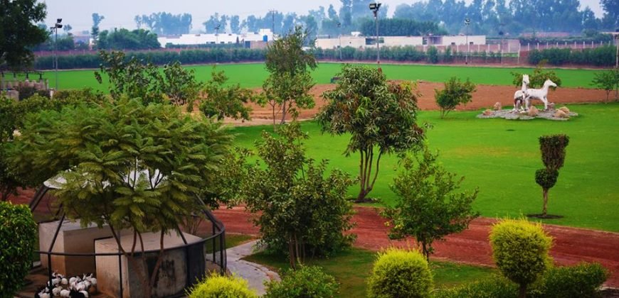 BARKI ROAD FARMHOUSE 124