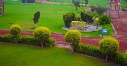 BARKI ROAD FARMHOUSE 124