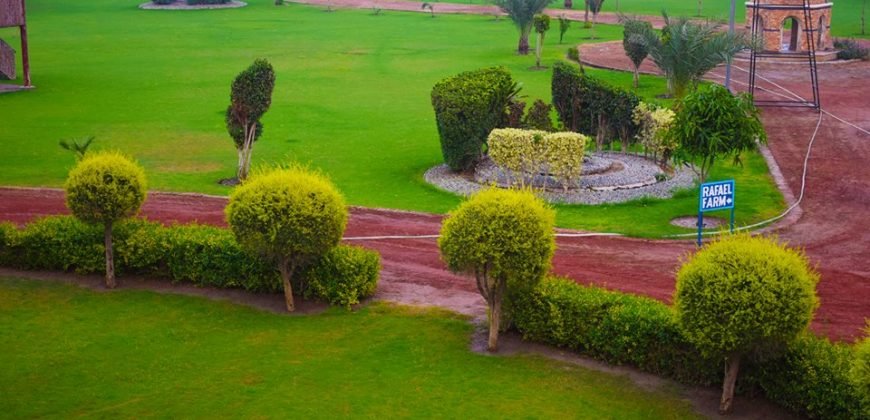 BARKI ROAD FARMHOUSE 124