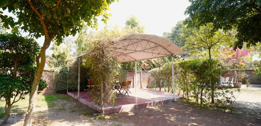 RAIWIND ROAD FARMHOUSE 225