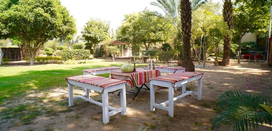 RAIWIND ROAD FARMHOUSE 225