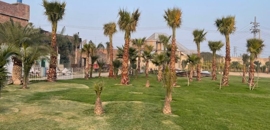 LAKHODHER FARMHOUSE 60