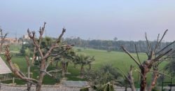 LAKHODHER FARMHOUSE 60