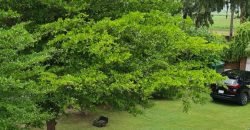 TECH SOCIETY FARM HOUSE 53