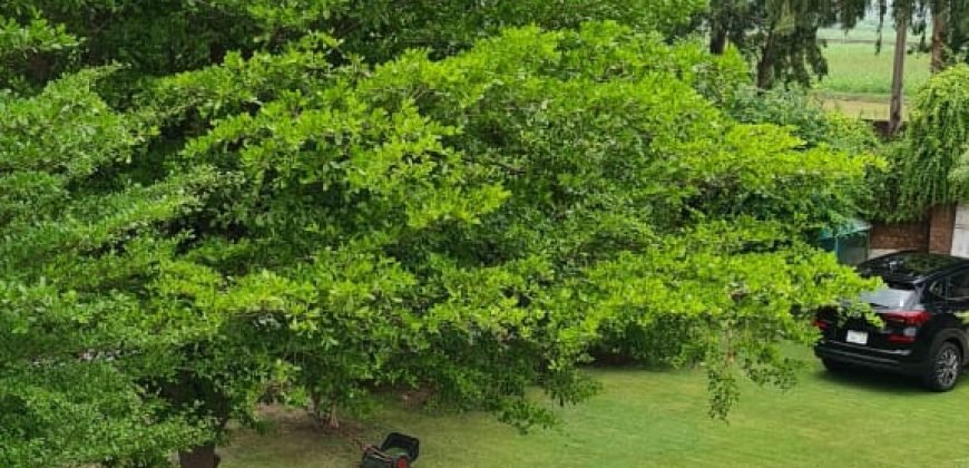 TECH SOCIETY FARM HOUSE 53